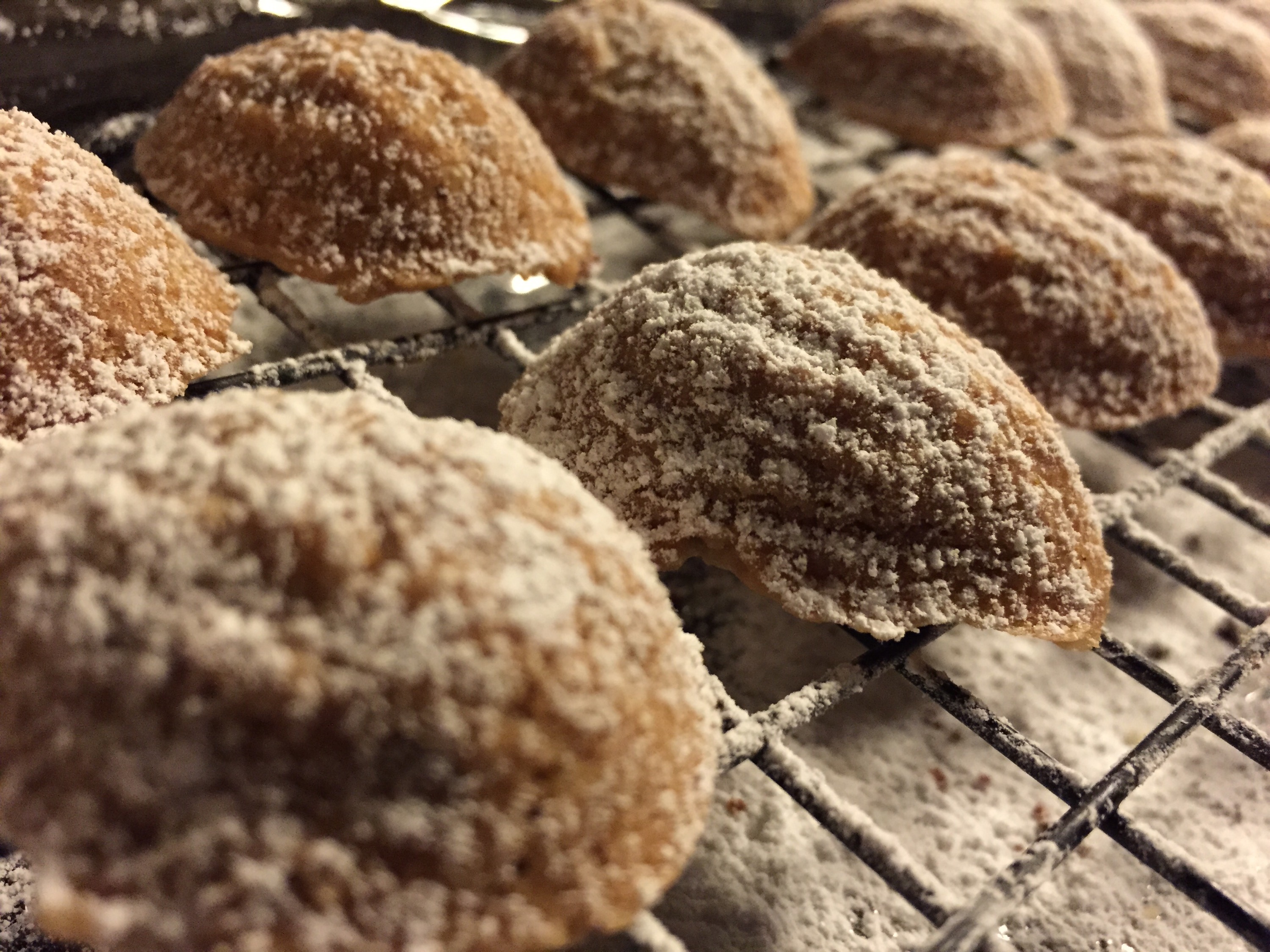 Walnut Cookies dusted in sugar